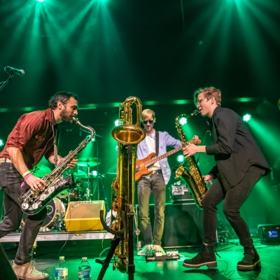 Cactus Cat _focomx 2024_ By Backstage Flash (1).jpg