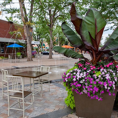 oak street plaza